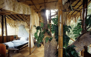 Green Magic Resort's Jungle Tree House